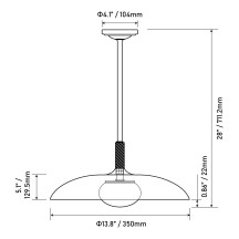 12V LED 28" Pearl Black Pendant Light, Wood Accent, 3500K, 4.5W
