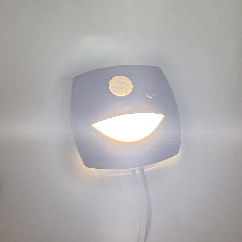 LED Motion Sensor Step Lights with Switch