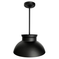 12V Bowl/ Funnel/ Wire Frame/ Globe Shape LED Matte Black Pendant Light