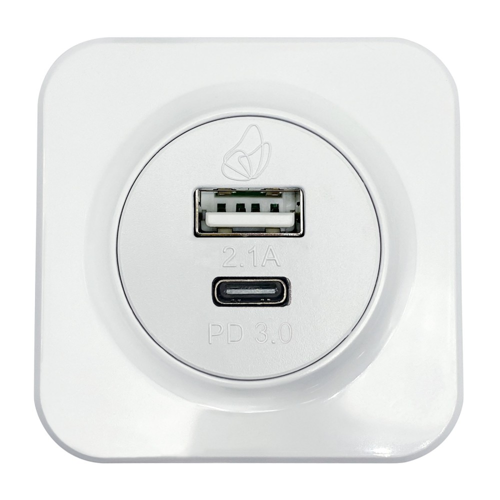 Wall Style Dual USB Portal USB Type A and C